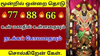 🔥3 ல் ஒன்றை தொடு உனக்கு நடக்கப் போவதை சொல்கிறேன்🔥/ #பெருமாள் #திருப்பதி #perumal #tripathi