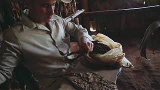 Viñales Cuba Cigar Farm - How cigars are made