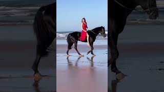 Best horse riding😍❤️‍🔥 #youtubeshorts #horse #usa #upsc #ترند_خيول #horselover #يوميات_ترند