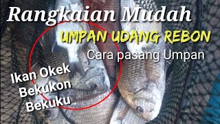 Easy Series of Fishing for Okek / Bekukon / Bekuku Shrimp Bait