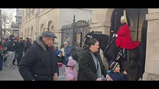 Horse taken in/allowed to touch/get out/not listening #kingsguard