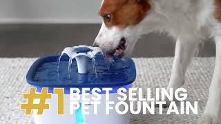 Veken 95oz 2 8L Pet Fountain, Automatic Cat Water Fountain Dog Water Dispenser via amazon