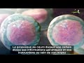 mitosis 3d animation cell division mitose