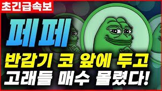 [페페전망] 791.3억 개 PEPE 보유한 고래! 이들의 다음 전략은? #업비트시황 #코인시황 #급등코인추천 #페페대응