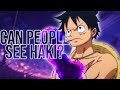 Can One Piece Characters See Haki?