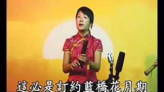 泉州南音《告大人》下  演唱 黃春妮