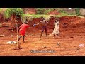 jerusalema dance by kapata africana kids 2023 episode 1