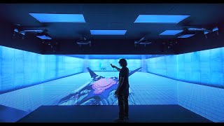 Projection VR and PRISM Reel