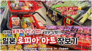 Shopping at Japan's Lopia Mart | Vegetable prices are rising in Japan!!