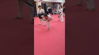 【最強】これが１番強い蹴り！ #karate