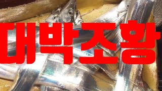 53회.갈 교수 갈치 낚시. 먼바다 갈치 4 지 5 지 대박 조황 동영상입니다 Big fish, Cutlassfish