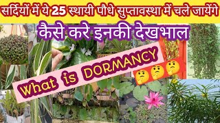 🔴25 Permanent Plants That Will Go Dormant In Winter || How To Take Care Of Them || What Is Dormancy