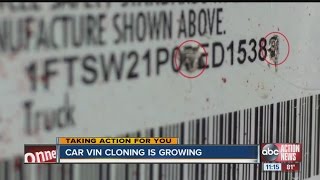 Thieves are stealing vehicles and cloning the VIN numbers costing innocent car buyers their rides