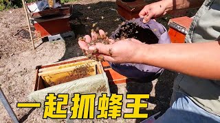 和野人一起隐居山林，一起抓“逃跑”的蜜蜂！不一样的生活体验【流浪的独孤老狼】