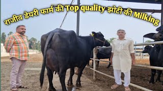 सुपरस्टार मुर्रा पशुधन की Milking राजीव डेयरी फार्म (विरावली) आन्ध्र प्रदेश