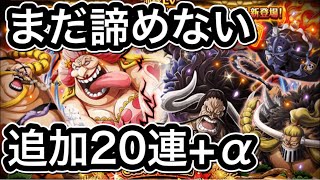 【トレクル】6.5周年スゴフェス無課金ですけど、まだ諦めてません！追加20連でカイドウVSビッグマム当てたい