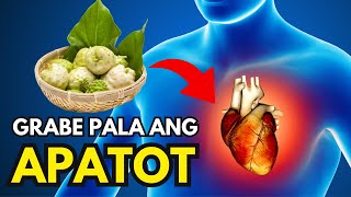 Noni Fruit o Apatot: Gamot o Lason?