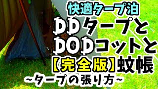 【DDタープ】蚊帳＆コット＆フルクローズ張りで快適タープ泊キャンプできる張り方☆便利な100均アイテムで簡単蚊帳取り付け☆タープを張る方法☆DODコット☆テント代わり張り方いろいろDDタープの張り方