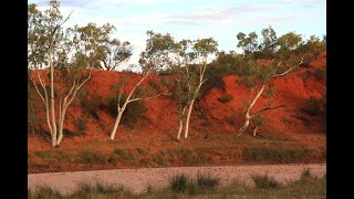 Australian Drylands Rivers - Alive and Kicking (In Summary)