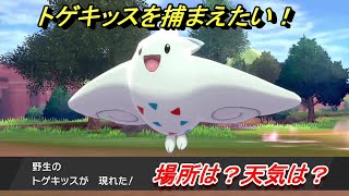 ポケモン剣盾　トゲキッスを捕まえる方法！オススメの場所は？天気は？ポケモン図鑑コンプへの道！最新版　【ポケモンソード・シールド】