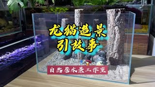 龙猫造景引出的故事#水草缸 #玻璃缸中的大自然 #水族 #微景观~家庭和办公室的大自然【自然居水景记】