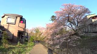 自転車散歩 96-1（東青梅駅→霞川沿い→藤の木農道→金子駅）　SONY HDR-AS50　サイクリング