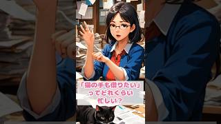 「猫の手も借りたい」ってどれくらい忙しい？ #shorts #猫 #猫雑学