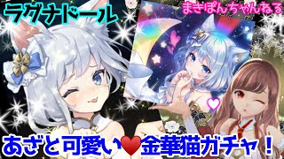 【ラグナドール】あざと可愛い❤️金華猫ガチャ【ラグナド女子部】