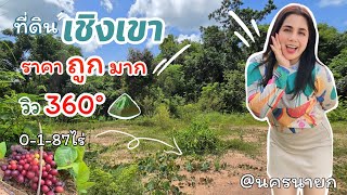 ที่ดินเชิงเขา⛰️วิวเขาล้อม #ราคาสบายกระเป๋า รูปแปลงสวย [EP.1669] 187ตรว. ขายถูกกว่าชาวบ้าน🏕🏕