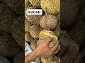 durian foryou food youtubeshorts fruit shorts fypシ゚ viral viralshorts