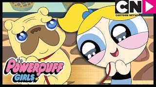 Bubbles Bakıcı Kulübü | Powerpuff Girls Türkçe | çizgi film | Cartoon Network