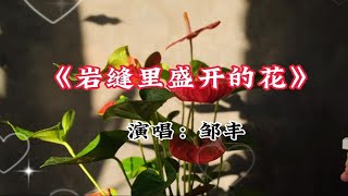 邹丰演唱的歌曲《岩缝里盛开的花》深情感人，触动心灵