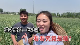 女婿送丈母娘一件大礼，看看究竟是啥？让媳妇忙得不亦乐乎