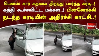 பென்ஸ் கார் கதவை திறந்து பார்த்த கரடி..! கத்தி கூச்சலிட்ட மக்கள்..! | Bear | SathiyamTV