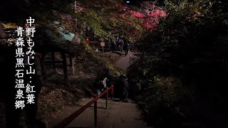 【津軽の紅葉】中野もみじ山ライトアップ　青森県黒石温泉郷　2024.11.03