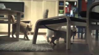 1368 Ikea 'Cats'