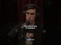 amikor az antonine pestis megölte marcust joe rogan és ryan holiday