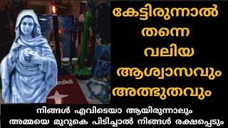 എല്ലായിടത്തും ഓടി നടക്കേണ്ട നിങ്ങൾ കൃപാസനത്തിൽ പോയാൽ മാത്രം മതി രക്ഷപ്പെടാൻ