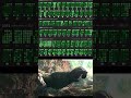 Watch till the end😨 #competitiveprogramming #codeprep  #leetcode #problemsolving