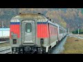 코레일 민둥산행 정선아리랑열차 a train 정선선 정선역 출발