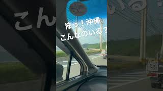 なんだあれは？　トラックの荷台・・・