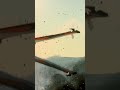 x wing vs tie interceptor looks fantastic in star citizen