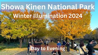 Showa Kinen Park Autumn | Showa Kinen Park Winter Illumination 2024 | 昭和記念公園 |4K Walking Tour Japan