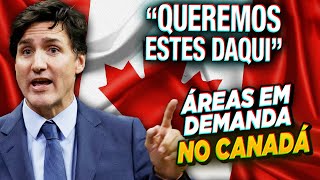 🇨🇦 Descubra quais são as áreas em demanda no Canadá🍁