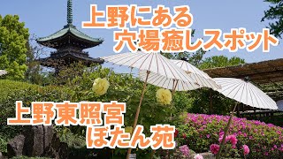 上野にある穴場癒しスポット｢上野東照宮ぼたん苑｣上野というのがウソのような静けさ