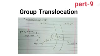 Group translocation | mechanism of PEP | part- 9 |Muskan yadav