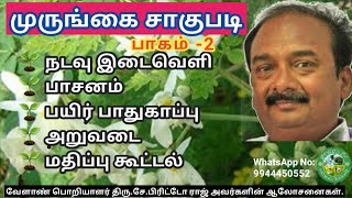 முருங்கை சாகுபடி பாகம் - 2🌱 நடவு இடைவெளி, பாசனம், அறுவடை, சந்தைப்படுத்தல்🌱 பிரிட்டோ ராஜ்