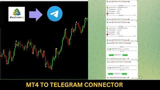 How To Setup mt4 to Telegram signal forward | Connect MT4 to Telegram for Instant Alerts! PART-3