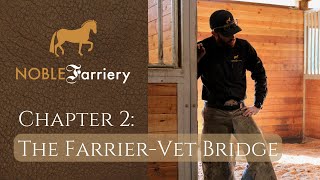 Noble Farriery, Chapter 2: The Farrier-Vet Bridge