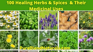 Top 100 Best Healing Medicinal Herbs, Spices And Plants Names, Health Benefits And Medicinal Uses